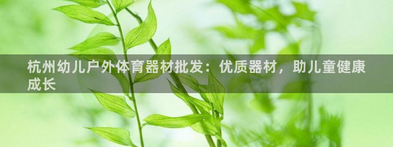 耀世娱乐登陆官网下载：杭州幼儿户外体育器材批发：优质