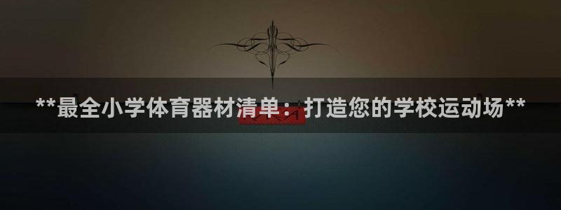 耀世集团是干嘛的企业：**最全小学体育器材清单：打造