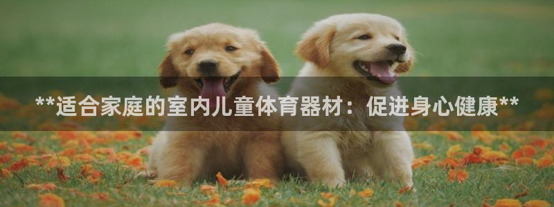 耀世集团董事长个人简历:**适合家庭的室内儿童体育器材:促进