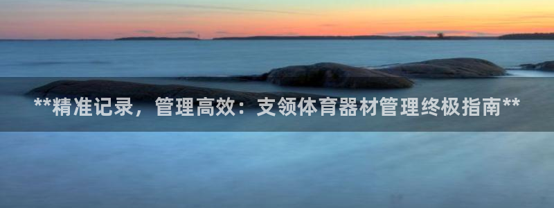 耀世平台最新注册地址在哪看:**精准记录,管理高效:支领体育