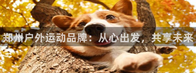 耀世娱乐如何登录平台账号:郑州户外运动品牌:从心出发,共享未